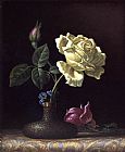 Martin Johnson Heade The White Rose painting